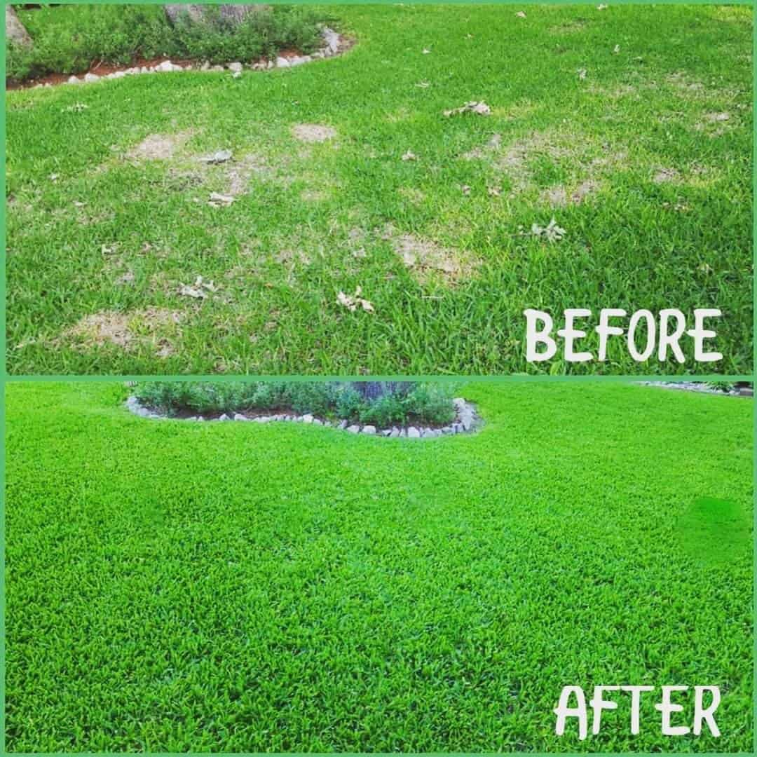 A before and after picture of a lawn in Tarrant County, TX featuring Super Carbon RX.