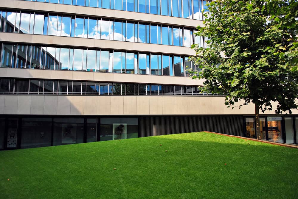 Modern commercial building with reflective glass windows, adjacent to a sloped grassy area expertly maintained with weed control and fertilization services, and a leafy tree under a blue sky with clouds.