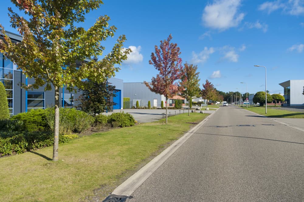 A quiet industrial park with modern buildings, a tree-lined road, and a clear blue sky features efficient pest control services ensuring pristine surroundings.