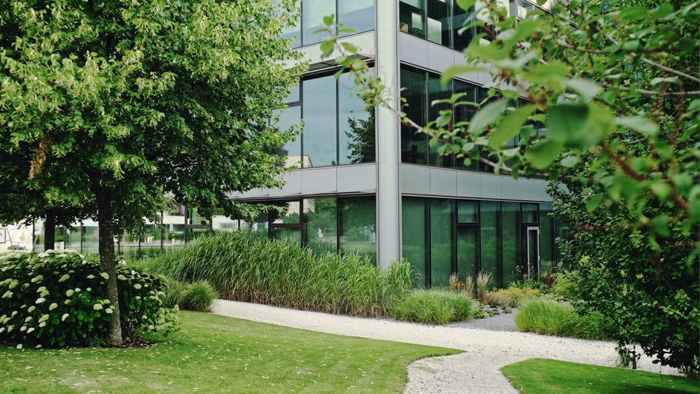 A modern glass building, enveloped by lush greenery and trees, sits alongside a gravel path under a clear sky. Ideal for commercial purposes, the landscape benefits from top-notch fertilization services and expert weed control, ensuring vibrant growth year-round.