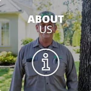A man in a Pest Control Tarrant County, Inc. uniform stands outside near a tree, with "ABOUT US" and an information icon overlayed—showcasing TX | Trees Hurt Too’s commitment to healthy landscapes.