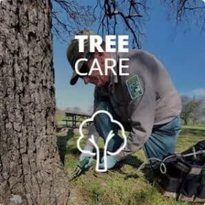 A park worker kneels at the base of a tree, performing maintenance tasks, with the words "TREE CARE" and a tree icon overlaid—proudly supported by Pest Control Tarrant County,Inc., TX | Trees Hurt Too.