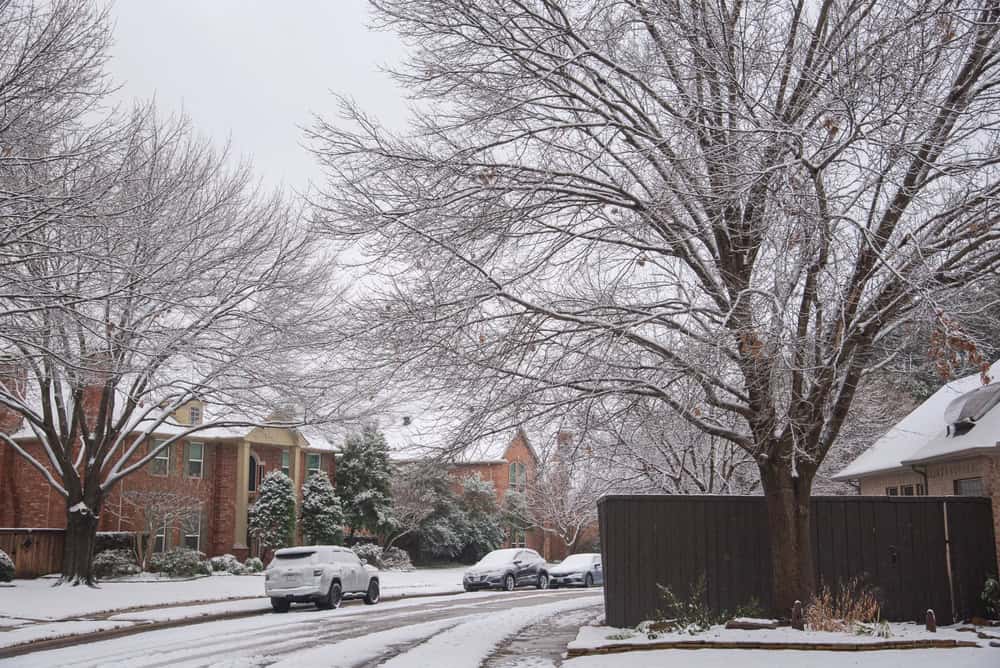 A residential street with houses, cars, and leafless trees covered in a layer of snow on a cloudy winter day, with local businesses adjusting their lawn care schedule for the winter season.